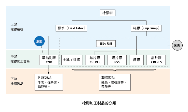 橡膠加工製品的分類，乳膠其實只占有一小部分