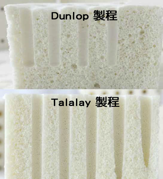 dunlop製程與talalay製程的氣泡特性不同。Dunlop製程比較容易有大小不同的氣泡，相對Talalay則更均勻。