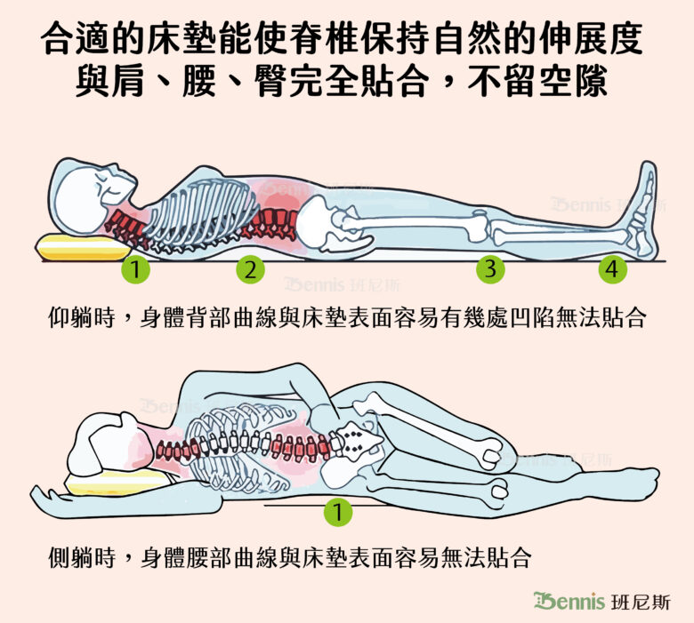 合適的床墊能使脊椎保持自然的伸展度與肩、腰、臀完全貼合，不留空隙