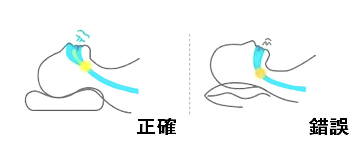 睡眠時的枕頭幫助身體的肩頸位置保持正確