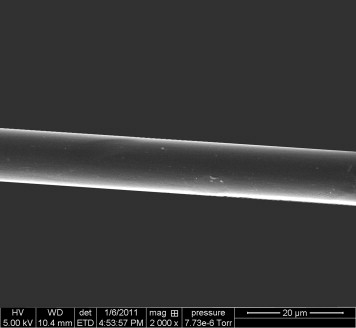 萊賽爾人造絲纖維縱向視圖 (FEI QUANTA FEG 650)