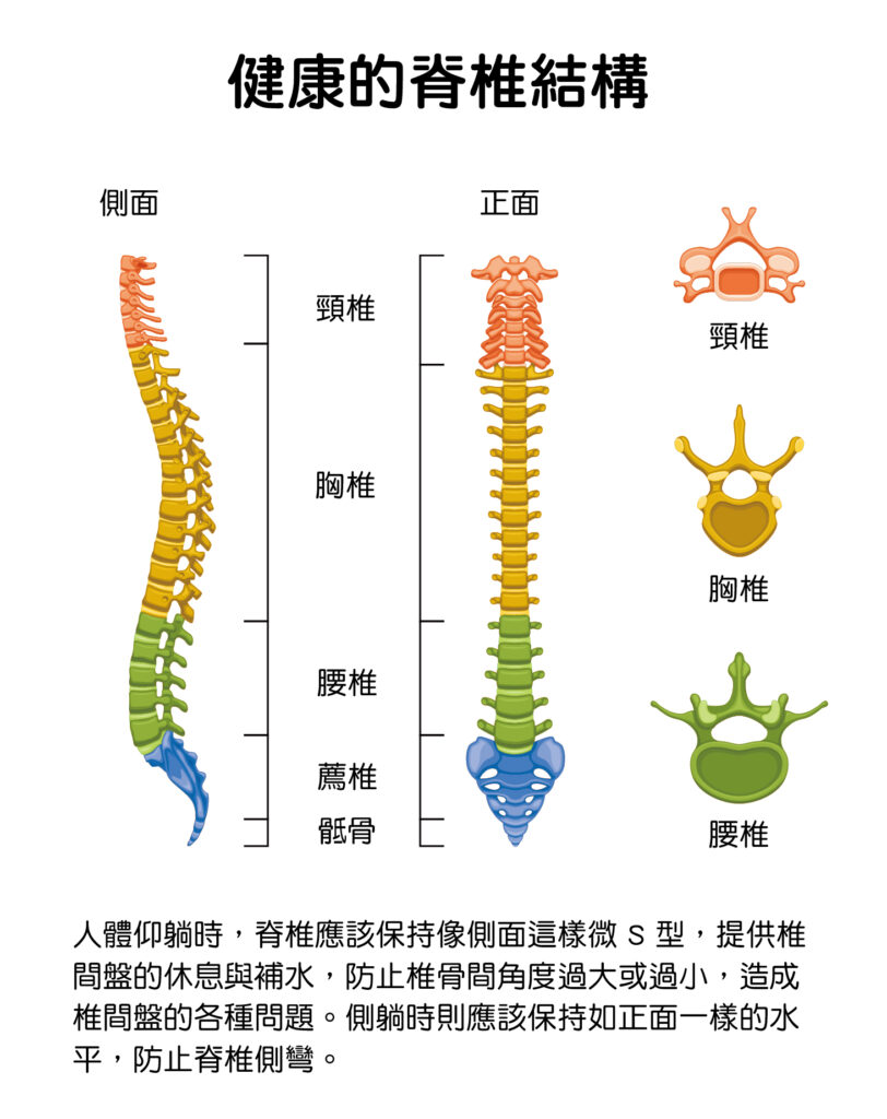 人體仰躺時，脊椎應該保持像側面這樣微 S 型，提供椎間盤的休息與補水，防止椎骨間角度過大或過小，造成椎間盤的各種問題。側躺時則應該保持如正面一樣的水平，防止脊椎側彎。