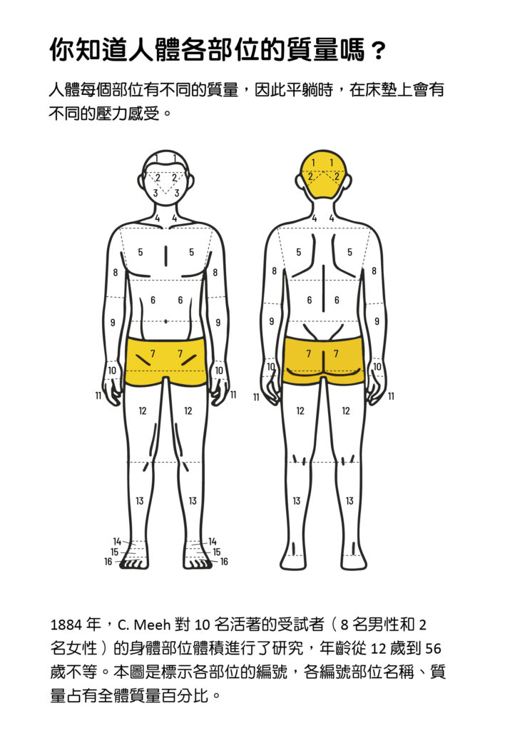 1884 年，C. Meeh 對 10 名活著的受試者（8 名男性和 2 名女性）的身體部位體積進行了研究，年齡從 12 歲到 56 歲不等。本圖是標示各部位的編號，各編號部位名稱、質量占有全體質量百分比。他也估算了人體在安靜呼吸時的密度，結果發現其變化範圍為 0.946 至 1.071，並且隨著年齡的增長沒有明顯的變化。