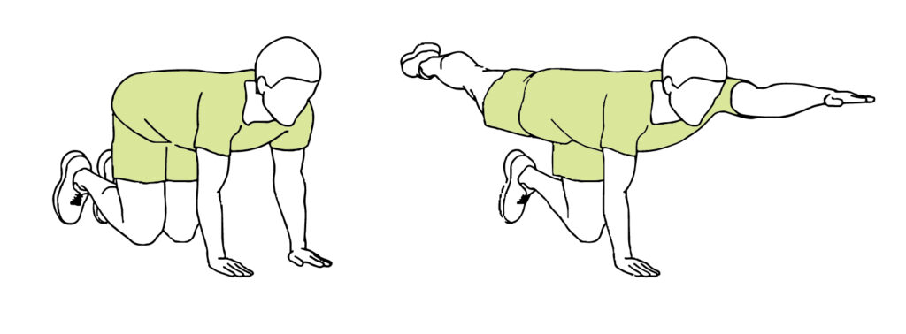 鳥狗式是提高核心力量和腰背肌肉的絕佳練習。
