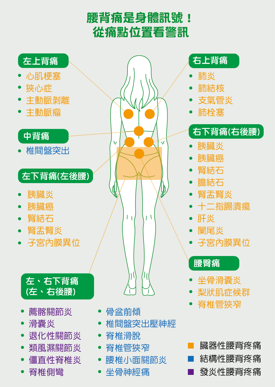 腰痛、背痛都代表身體發出警告訊號。依照部位，可以分為左後腰痛、右後腰痛、左後背痛、右後背痛。也可以進一步細分中背痛與腰臀痛