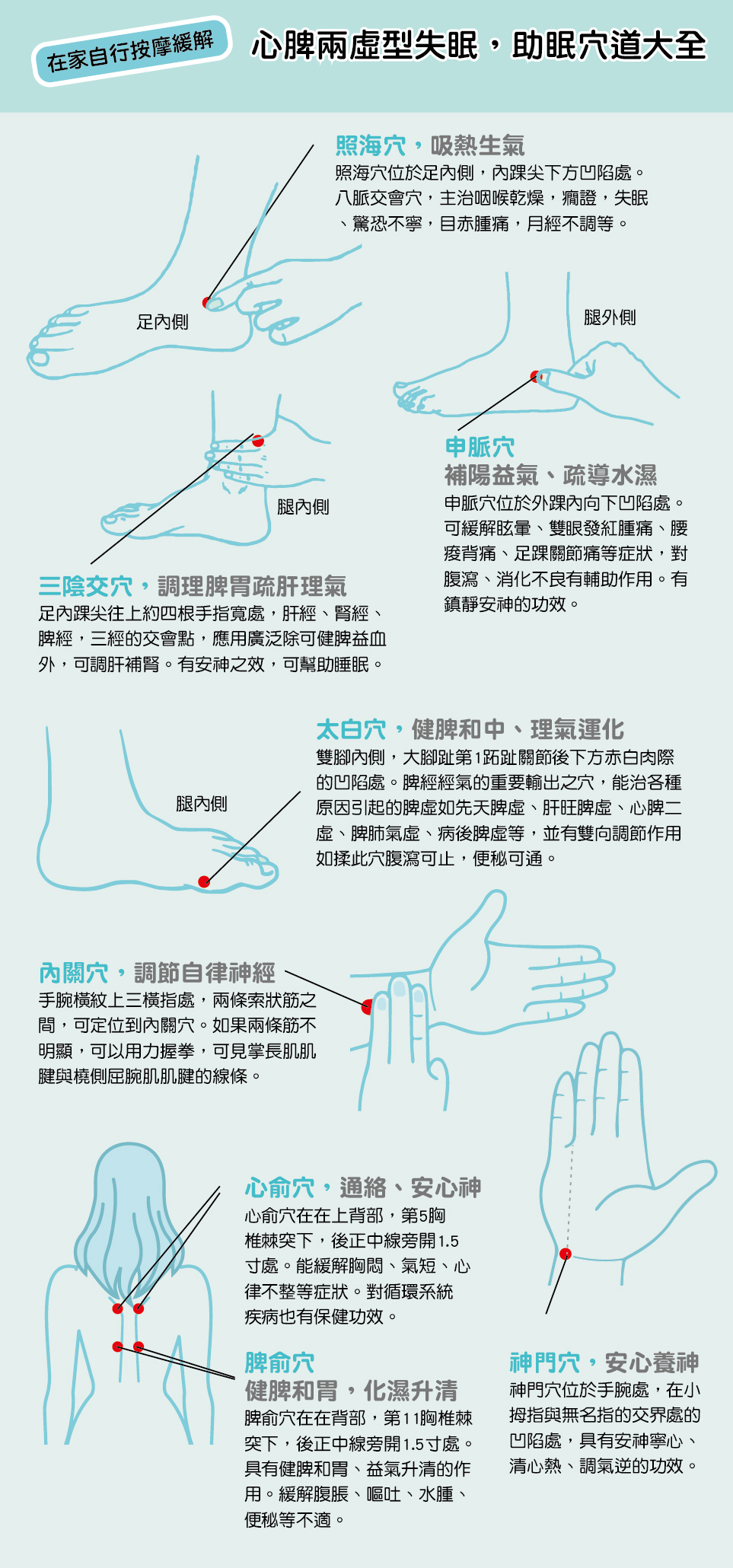 心脾兩虛型失眠穴道取內關穴、神門穴、照海穴、申脈穴、太白穴、心俞穴、脾俞穴、三陰交穴。