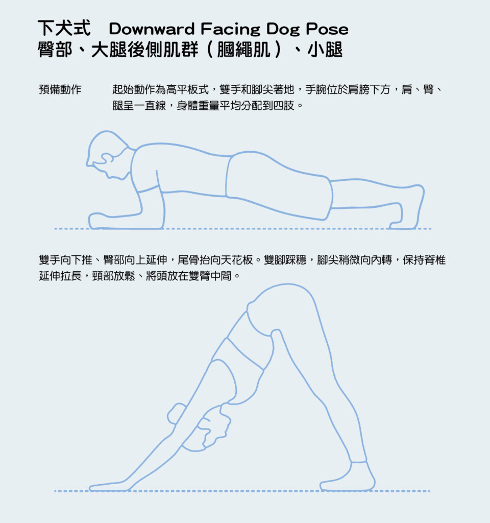 骨盆前傾矯正訓練：下犬式，訓練臀部、大腿後側肌群-膕繩肌與小腿，要注意：避免胸部過度往下壓、背部向上彎曲拱背、臀部未向上延伸等錯誤動作。