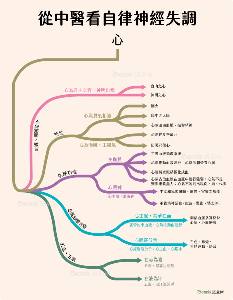 從中醫看自律神經失調。中醫的心與臟腑和心神有關，透過血管、血液循環和臟腑關聯，同時與自律神經有關。