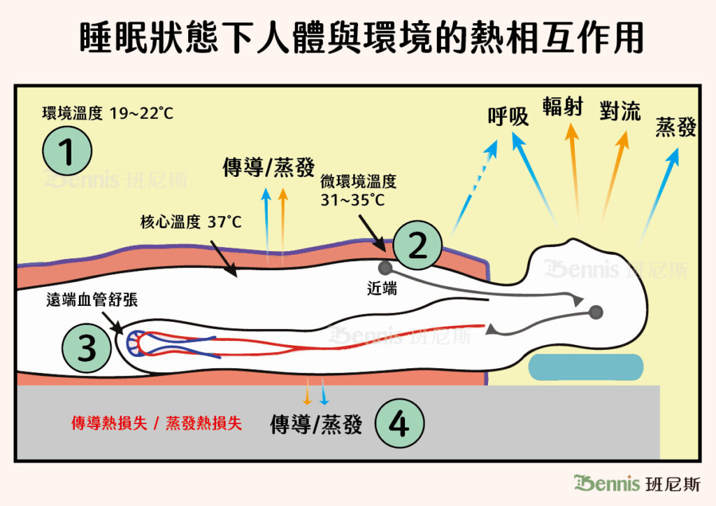 睡眠狀態下人體與環境的熱相互作用